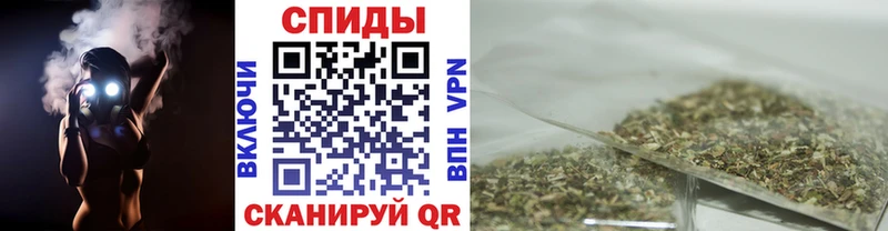 купить закладку  Электрогорск  БУТИРАТ буратино 