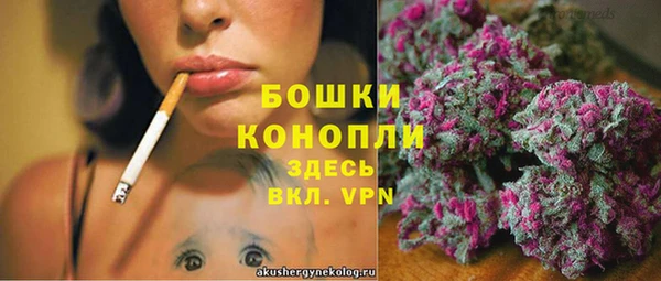 ГАЛЛЮЦИНОГЕННЫЕ ГРИБЫ Верхний Тагил